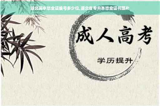 湖北高中毕业证编号多少位,湖北省专升本毕业证书图片