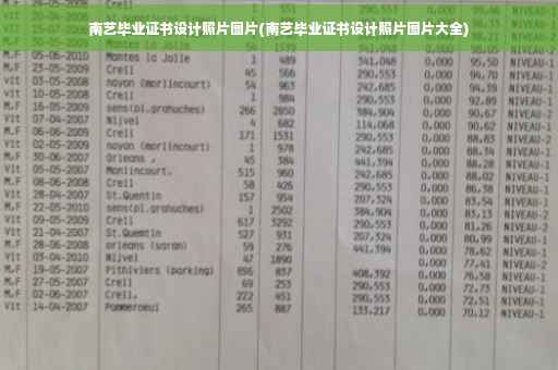 南艺毕业证书设计照片图片(南艺毕业证书设计照片图片大全)