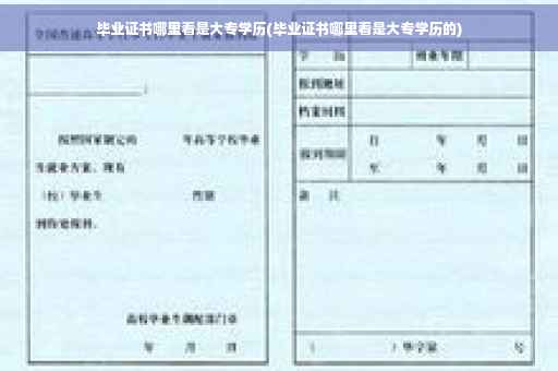 毕业证书哪里看是大专学历(毕业证书哪里看是大专学历的)