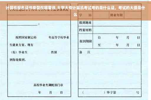 计算机报名证书类型在哪里选,大学大专计算机考试考的是什么证，考试的大纲是什么