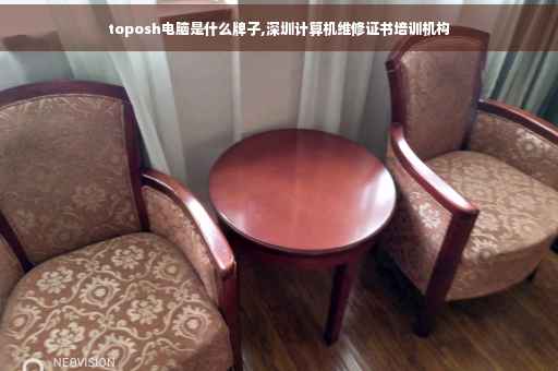 toposh电脑是什么牌子,深圳计算机维修证书培训机构
