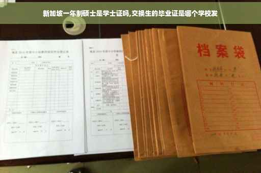 新加坡一年制硕士是学士证吗,交换生的毕业证是哪个学校发