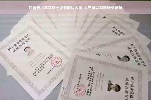 如何去小学拿毕业证书图片大全,大三可以拿到毕业证吗