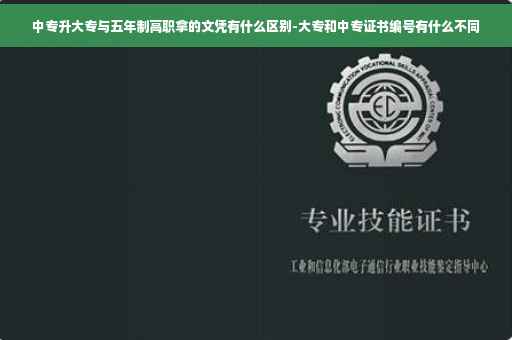 中专升大专与五年制高职拿的文凭有什么区别-大专和中专证书编号有什么不同