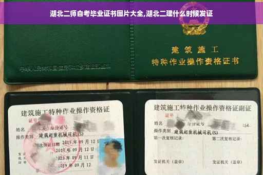湖北二师自考毕业证书图片大全,湖北二建什么时候发证