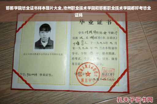 邯郸学院毕业证书样本图片大全,沧州职业技术学院和邯郸职业技术学院都好考毕业证吗
