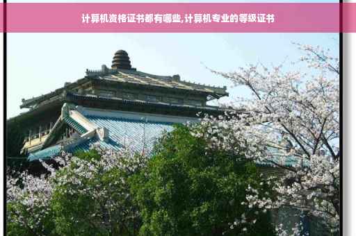 计算机资格证书都有哪些,计算机专业的等级证书