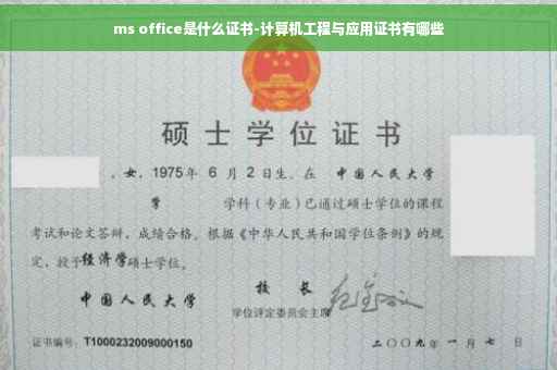 ms office是什么证书-计算机工程与应用证书有哪些