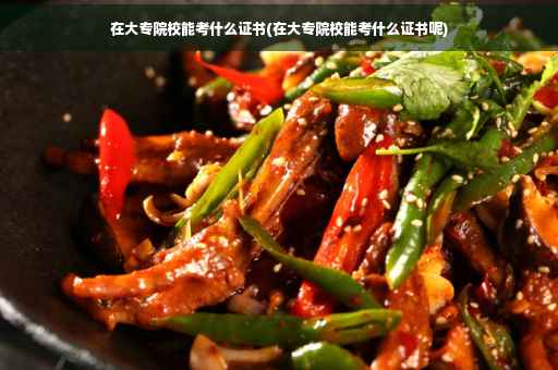 在大专院校能考什么证书(在大专院校能考什么证书呢)