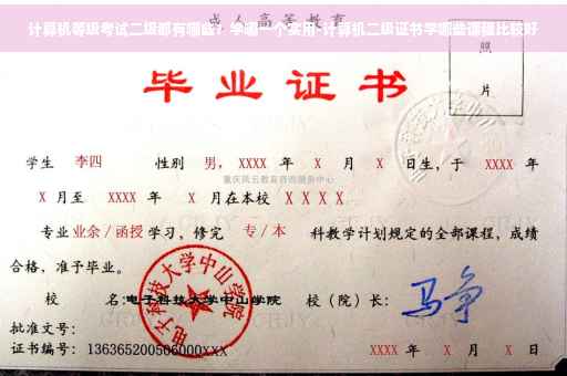计算机等级考试二级都有哪些？学哪一个实用-计算机二级证书学哪些课程比较好