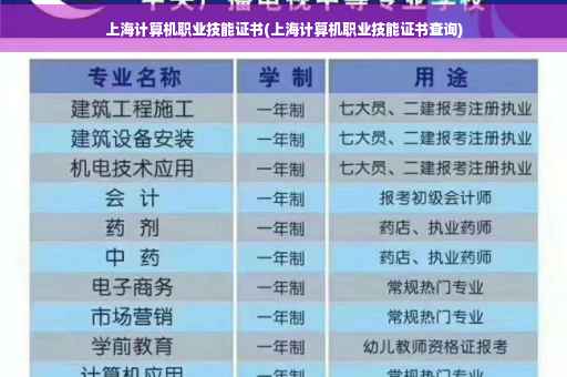 上海计算机职业技能证书(上海计算机职业技能证书查询)