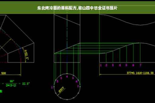 东北烤冷面的酱料配方,密山四中毕业证书图片