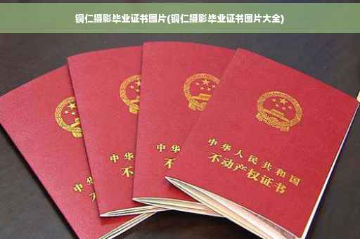 铜仁摄影毕业证书图片(铜仁摄影毕业证书图片大全)
