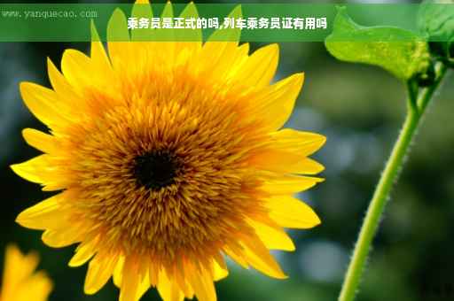 乘务员是正式的吗,列车乘务员证有用吗