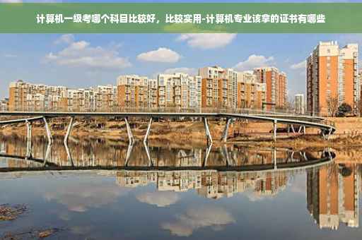 计算机一级考哪个科目比较好,比较实用-计算机专业该拿的证书有哪些 计算机一级考哪个科目比较好,比较实用-计算机专业该拿的证书有哪些