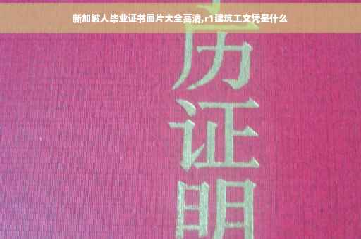 新加坡人毕业证书图片大全高清,r1建筑工文凭是什么