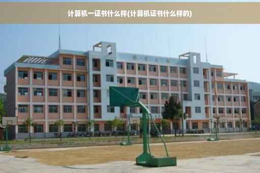 计算机一证书什么样(计算机证书什么样的)