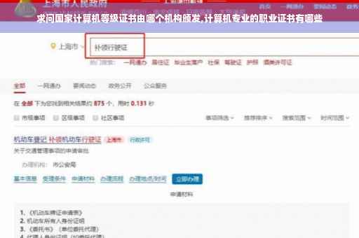 求问国家计算机等级证书由哪个机构颁发,计算机专业的职业证书有哪些
