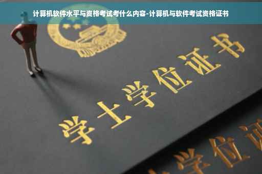 计算机软件水平与资格考试考什么内容-计算机与软件考试资格证书