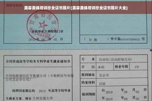 美容美体培训毕业证书图片(美容美体培训毕业证书图片大全)
