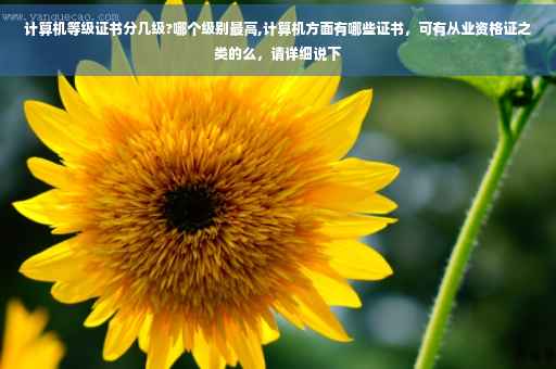 计算机等级证书分几级?哪个级别最高,计算机方面有哪些证书，可有从业资格证之类的么，请详细说下