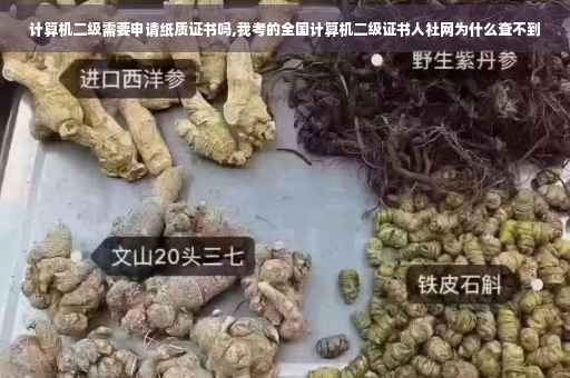 计算机二级需要申请纸质证书吗,我考的全国计算机二级证书人社网为什么查不到