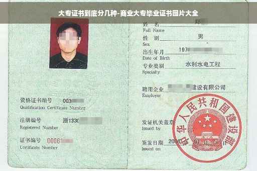 大专证书到底分几种-商业大专毕业证书图片大全