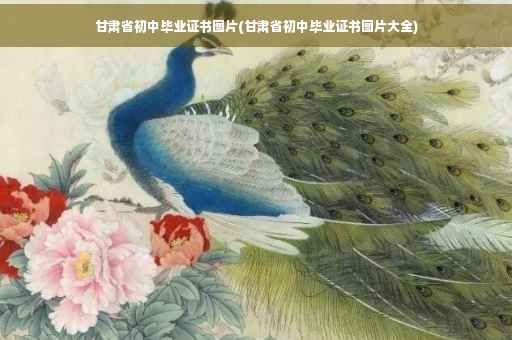 甘肃省初中毕业证书图片(甘肃省初中毕业证书图片大全)