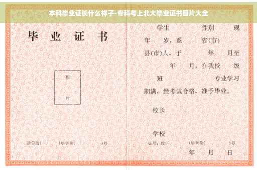 本科毕业证长什么样子-专科考上北大毕业证书图片大全