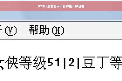 OTS什么意思-cct计算机一级证书