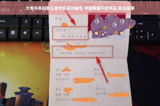 大专升本科怎么查学历证书编号,学信网查不到学历,怎么回事