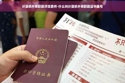 计算机中级职称评定条件-什么叫计算机中级职称证书编号