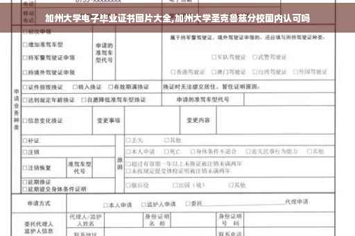 加州大学电子毕业证书图片大全,加州大学圣克鲁兹分校国内认可吗