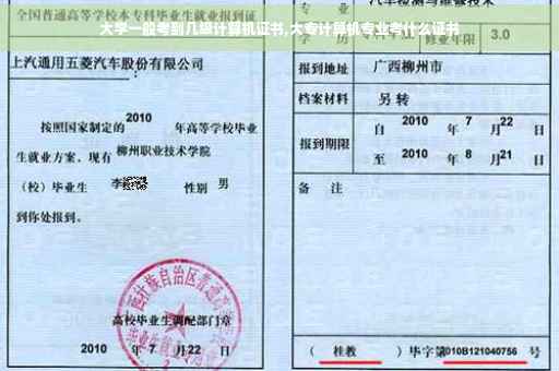 大学一般考到几级计算机证书,大专计算机专业考什么证书
