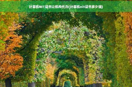计算机NIT证书让机构代办(计算机nit证书多少钱)