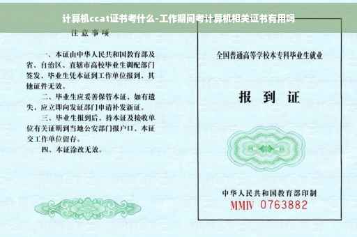 计算机ccat证书考什么-工作期间考计算机相关证书有用吗