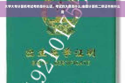 大学大专计算机考试考的是什么证，考试的大纲是什么,全国计算机二级证书有什么用