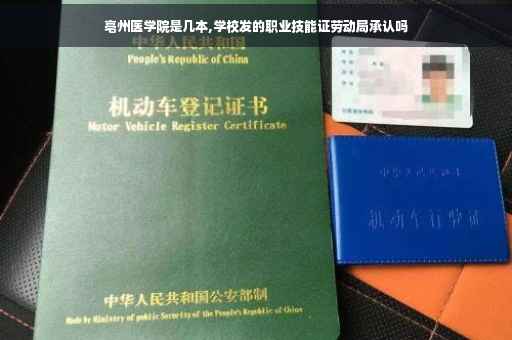 亳州医学院是几本,学校发的职业技能证劳动局承认吗