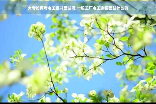 大专如何考电工证书面试呢,一般工厂电工需要面试什么的