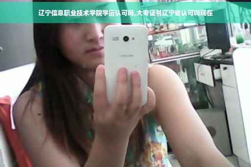 辽宁信息职业技术学院学历认可吗,大专证书辽宁省认可吗现在