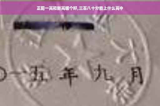 正阳一高和新高哪个好,三百八十分能上什么高中