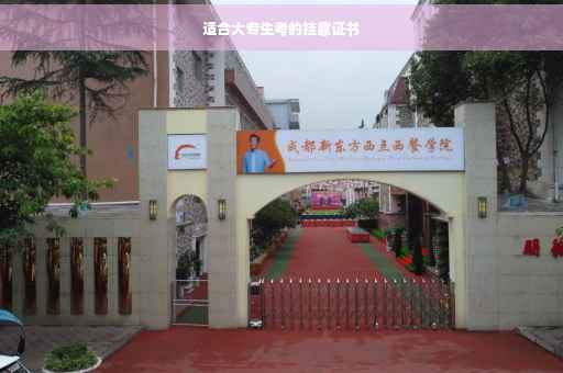 适合大专生考的挂靠证书