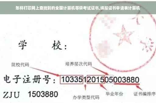 怎样打印网上查找到的全国计算机等级考试证书,填报证书申请表计算机