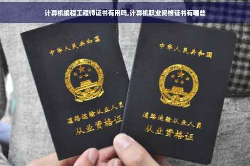 计算机编程工程师证书有用吗,计算机职业资格证书有哪些