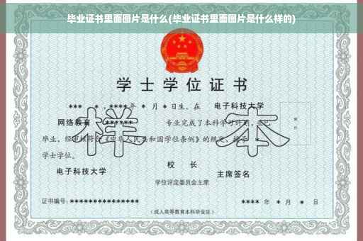 毕业证书里面图片是什么(毕业证书里面图片是什么样的)