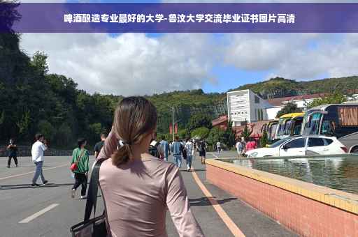 啤酒酿造专业最好的大学-鲁汶大学交流毕业证书图片高清