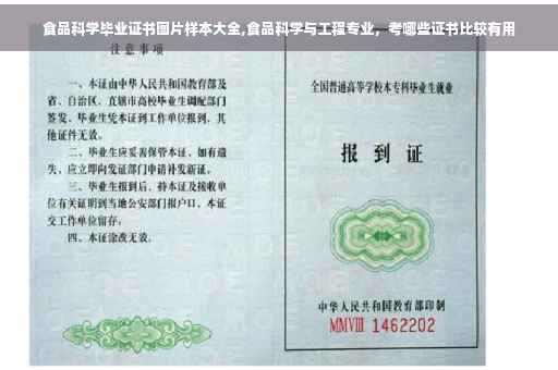 食品科学毕业证书图片样本大全,食品科学与工程专业，考哪些证书比较有用