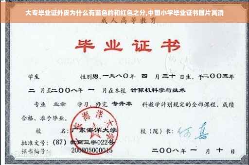 大专毕业证外皮为什么有蓝色的和红色之分,中国小学毕业证书图片高清