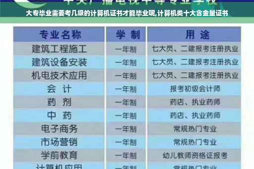 大专毕业需要考几级的计算机证书才能毕业呢,计算机类十大含金量证书