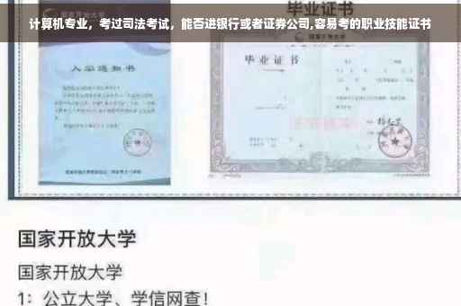 计算机专业，考过司法考试，能否进银行或者证券公司,容易考的职业技能证书